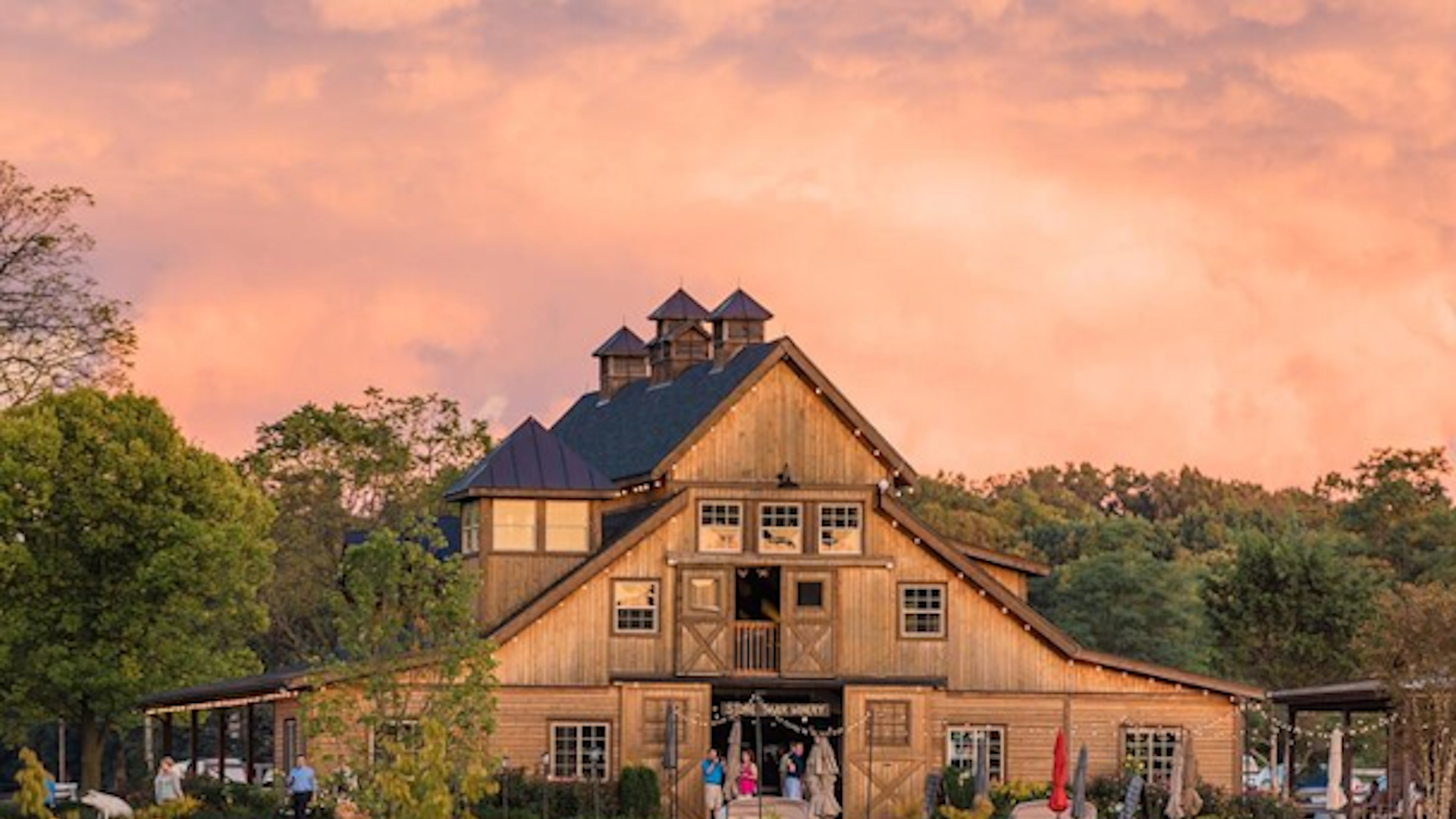 Luxury Wine Tour in Washington DC to Loudoun County Vineyards